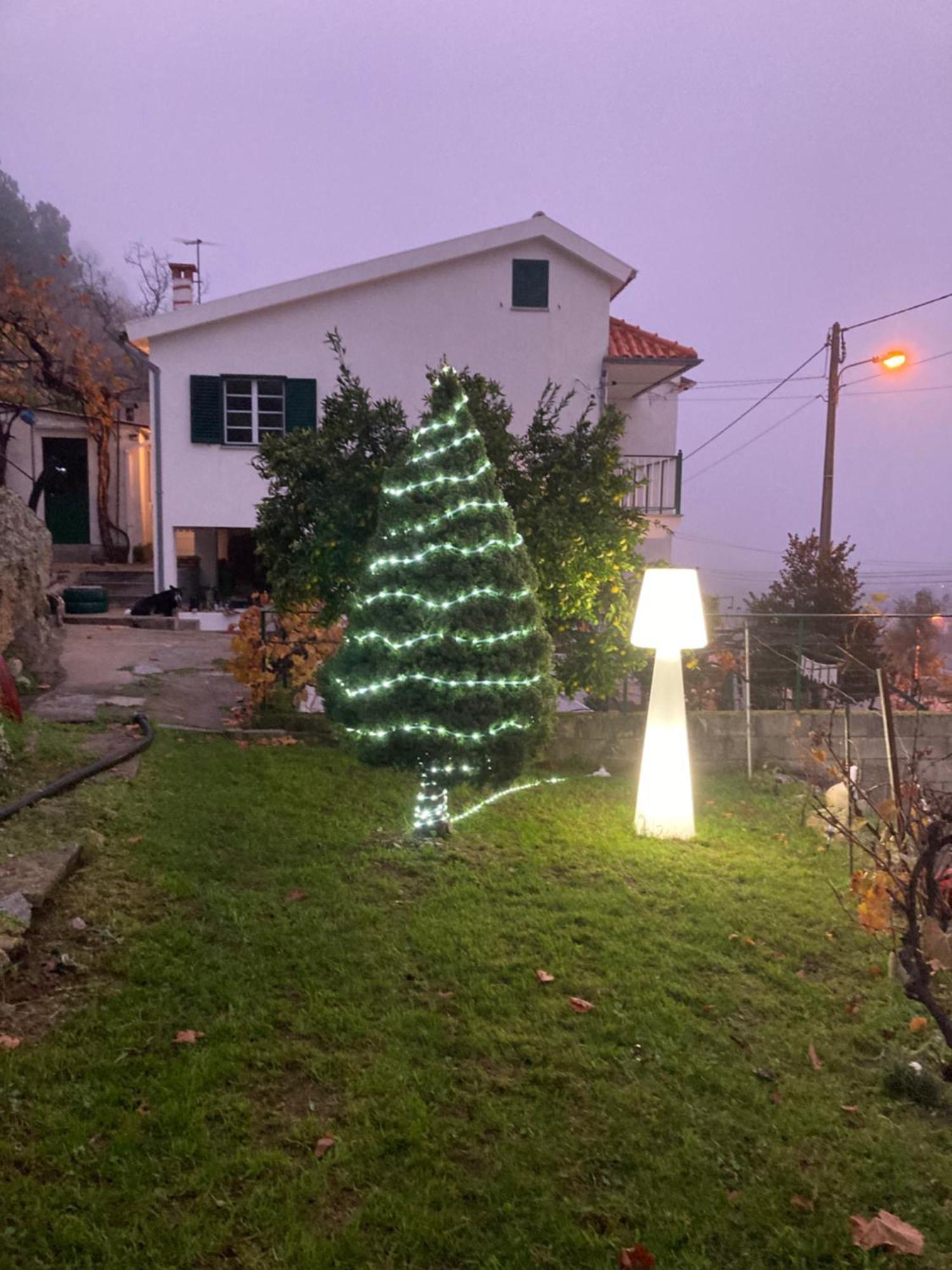 A Casa Da Rapariga De Cabelo Azul Leilighet Manteigas Eksteriør bilde